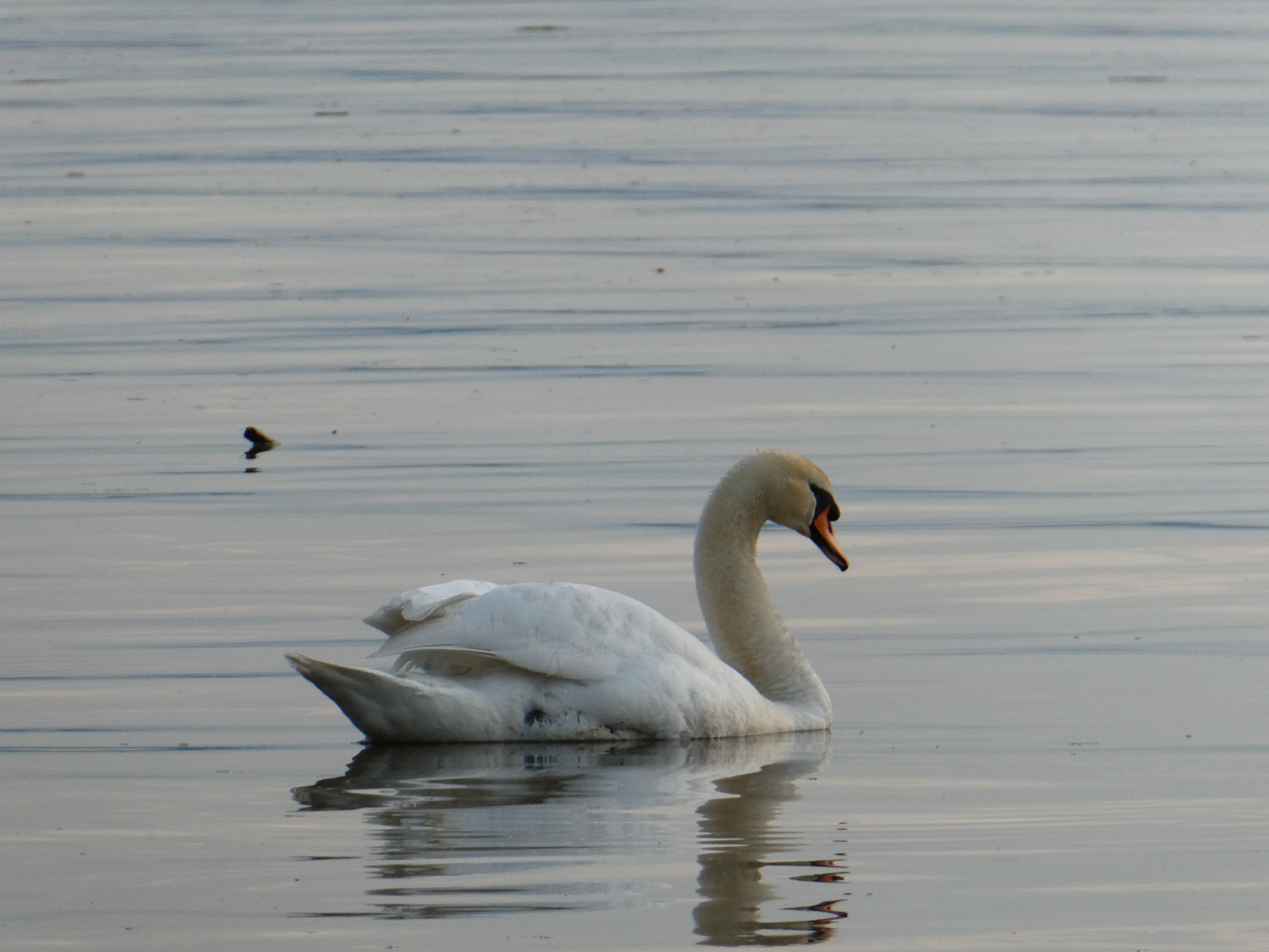 20230506200859 P1000197